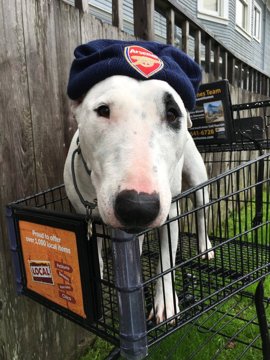 @fastmissile.bsky.social tweet media