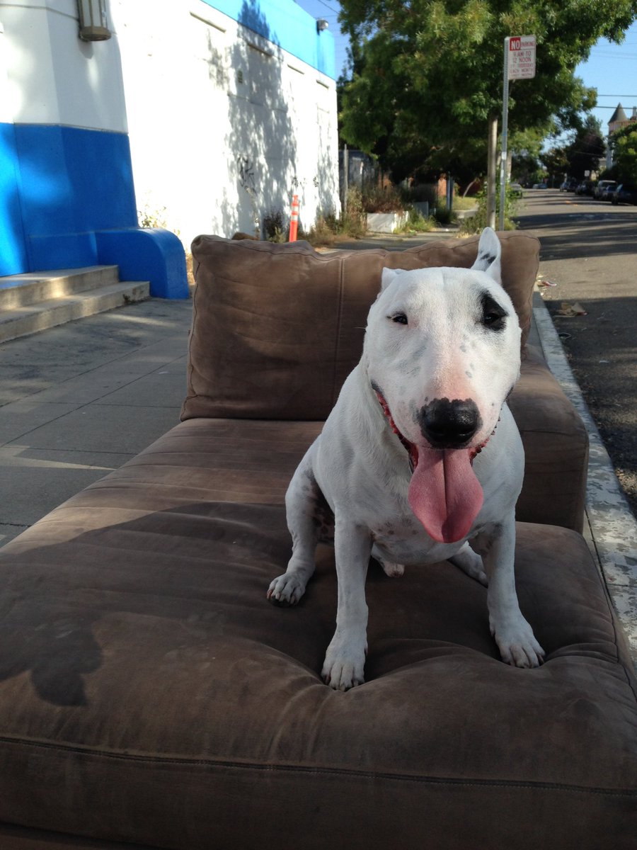 @fastmissile.bsky.social tweet media