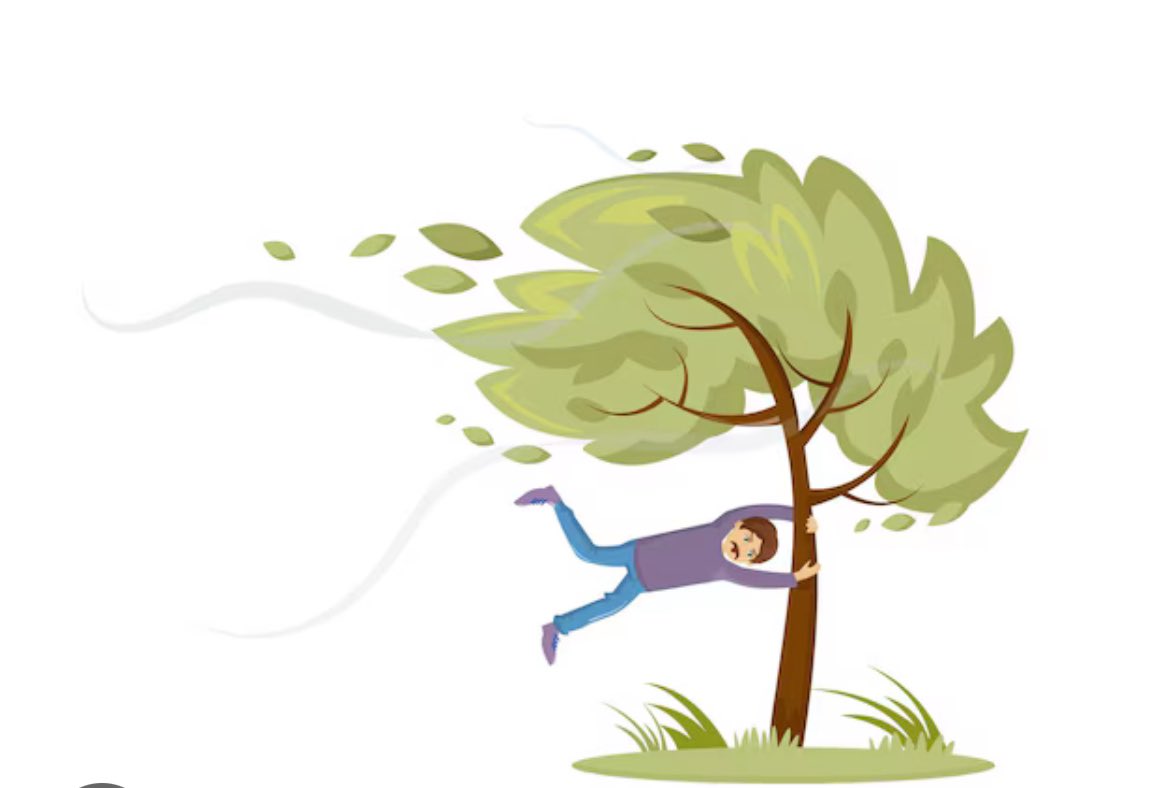 SaughtonFriends's tweet photo. The walled garden, winter garden, conservatory and cafe will remain closed all day tomorrow due to the severity of risk associated with the red weather warning (10:00am-5:00pm).  Stay safe. https://t.co/eITWJdqmxs