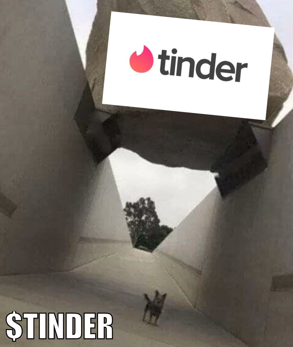 Tinder_Sol's tweet photo. We got something special for our whales, Join Tg group, and check last pinned https://t.co/zK7uEbzyFm