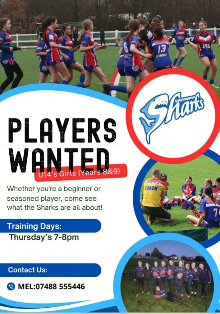 SHEVINGTON SHARKS tweet media