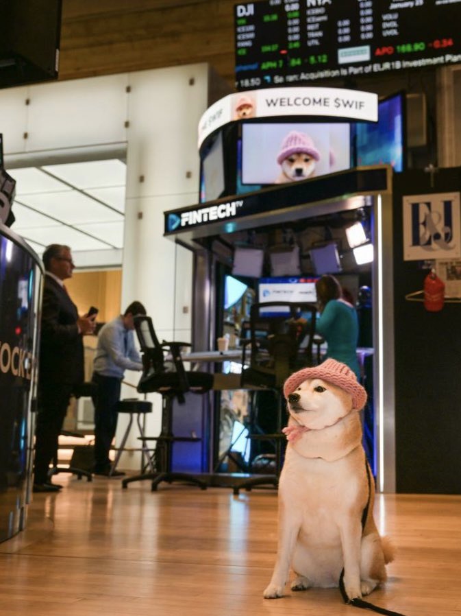 the wif of wall street