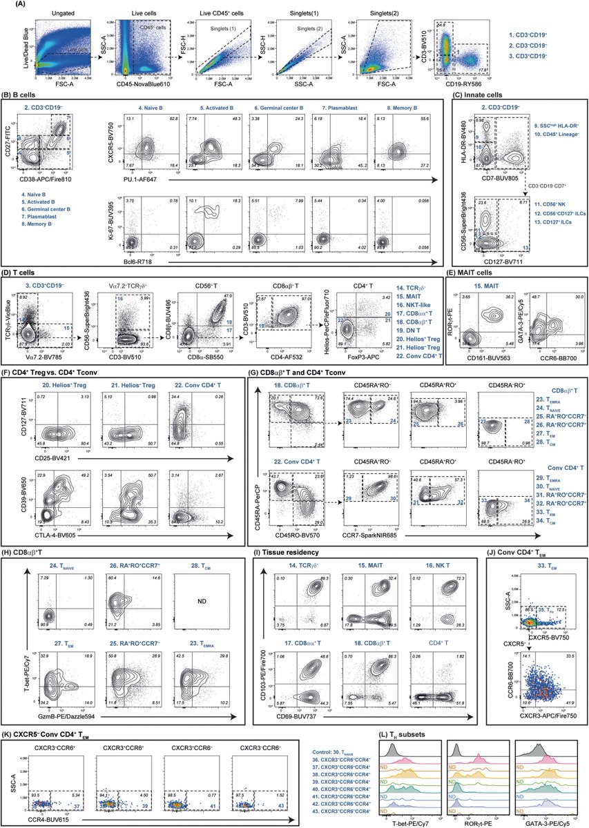 A 37-Color Spectral Flow Cytometric Panel to Assess Transcription Factors and Chemokine Receptors in Human Intestinal Lymphoid Cells
onlinelibrary.wiley.com/doi/10.1002/cy…
