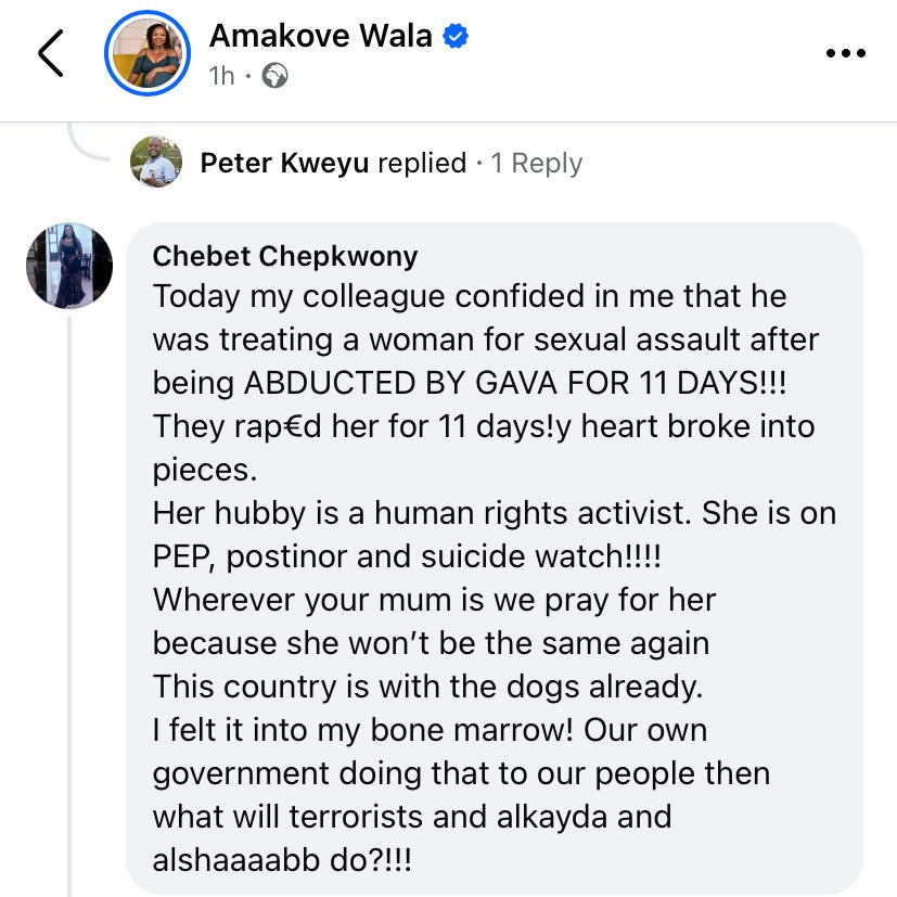 MaurineNdindin's tweet photo. There is a lady on facebook who commeńted on the arrest of Grace when @lizwala posted it on her timeline and I am beyond shook! Here is the screenshot, like how horrible has this regime fallen?? What is wrong with @WilliamsRuto ??? https://t.co/L3p9wUR5wv