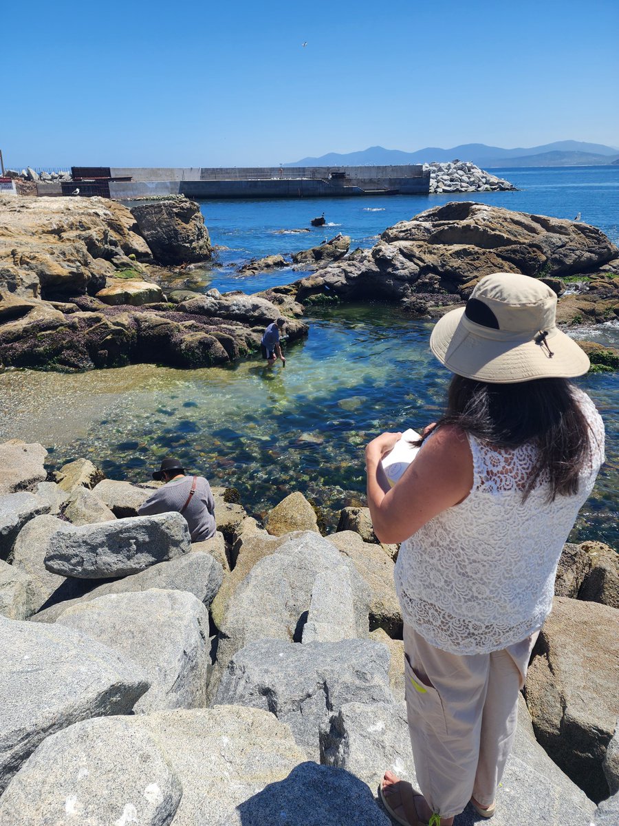 LorettoCP's tweet photo. Visita a terreno y reunión de nuestro equipo #LEBMA junto a la directiva de Caleta Pescadores para exponer avances del repoblamiento del huiro y tomar datos físico-químicos para seguir avanzando en nuestro proyecto 🌊🌞😎 @MilenioSecos @PuchuncaviMuni https://t.co/UlD4OmQ2Vp