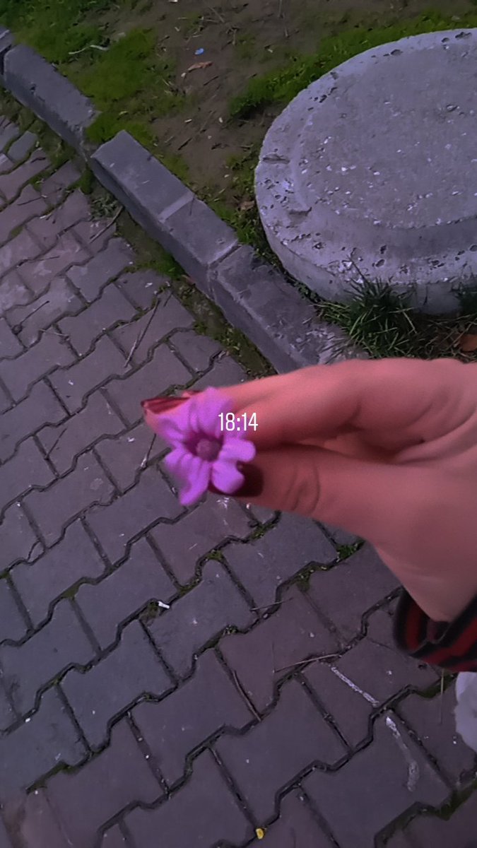 İstanbul 🌸