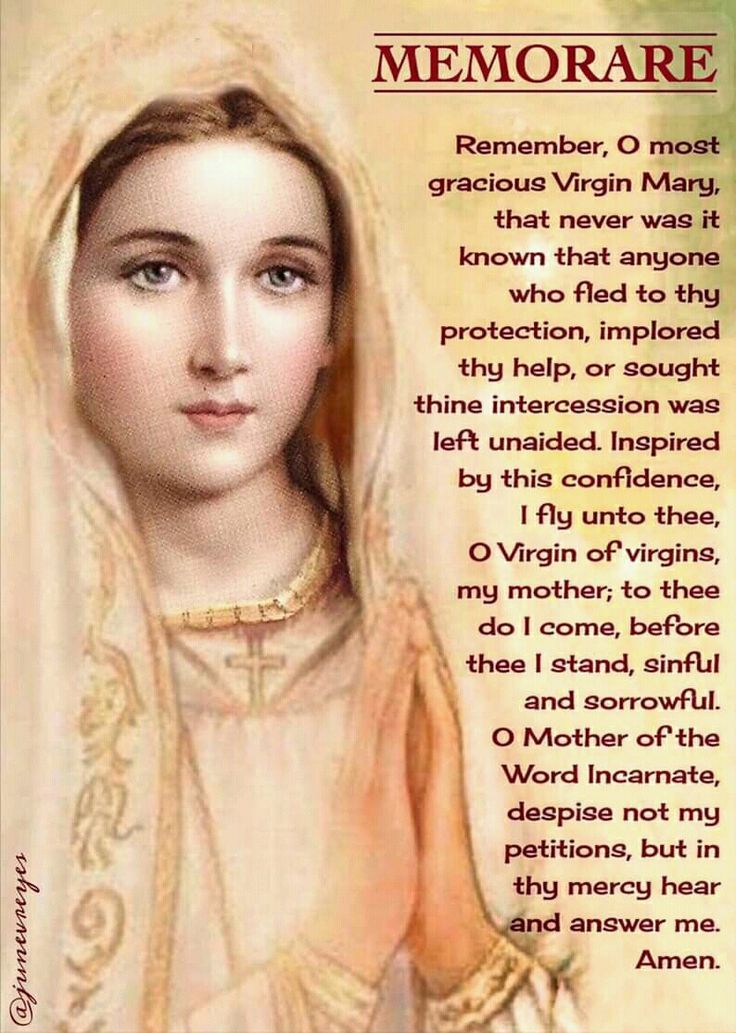 ManOfTheHaus's tweet photo. @seanfeucht Praise be to God 😌🙏💞
#FastforLife #MarchforLife https://t.co/czrcbnWdvY