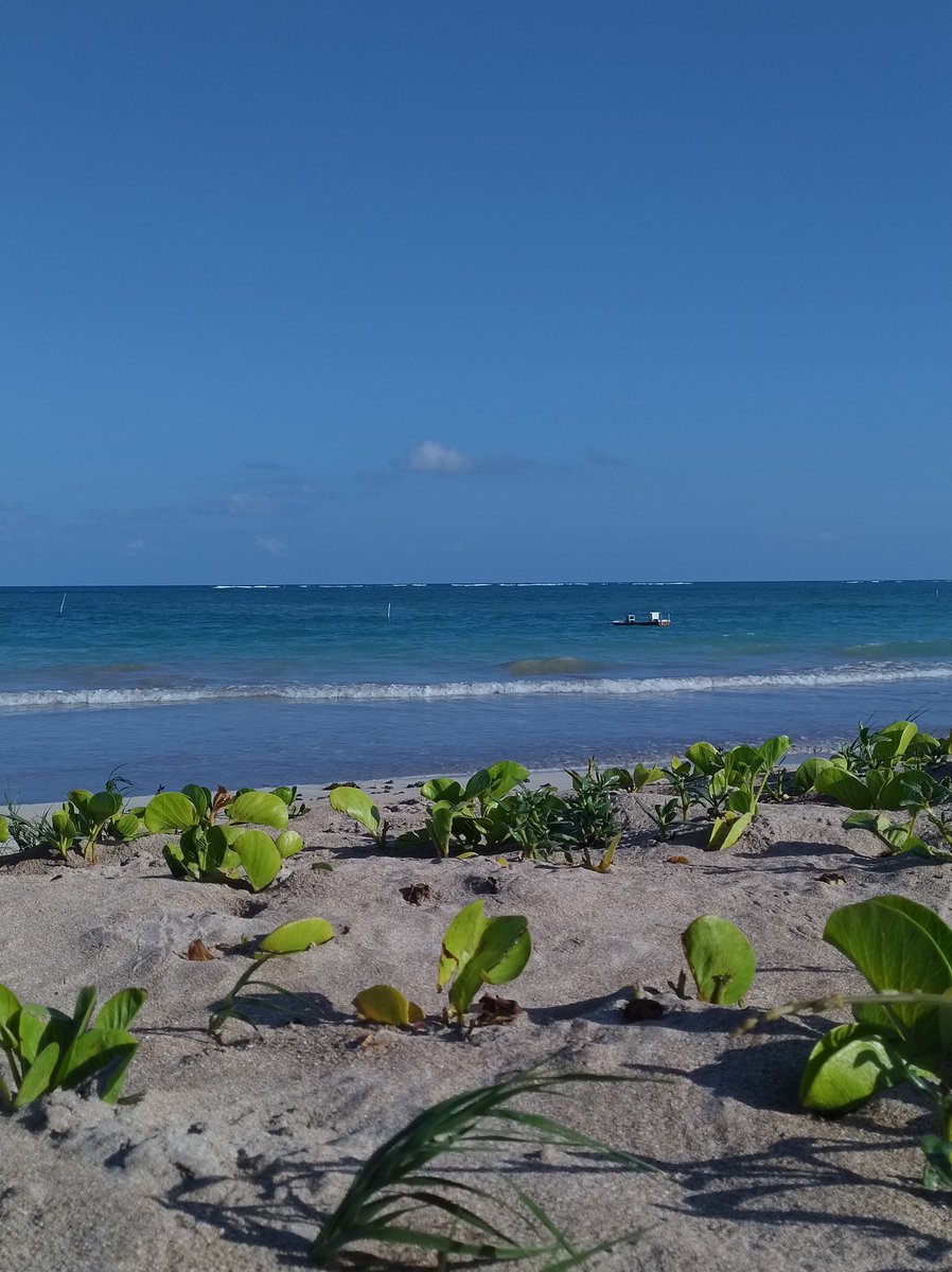 ma (@mariquinhw) on Twitter photo 