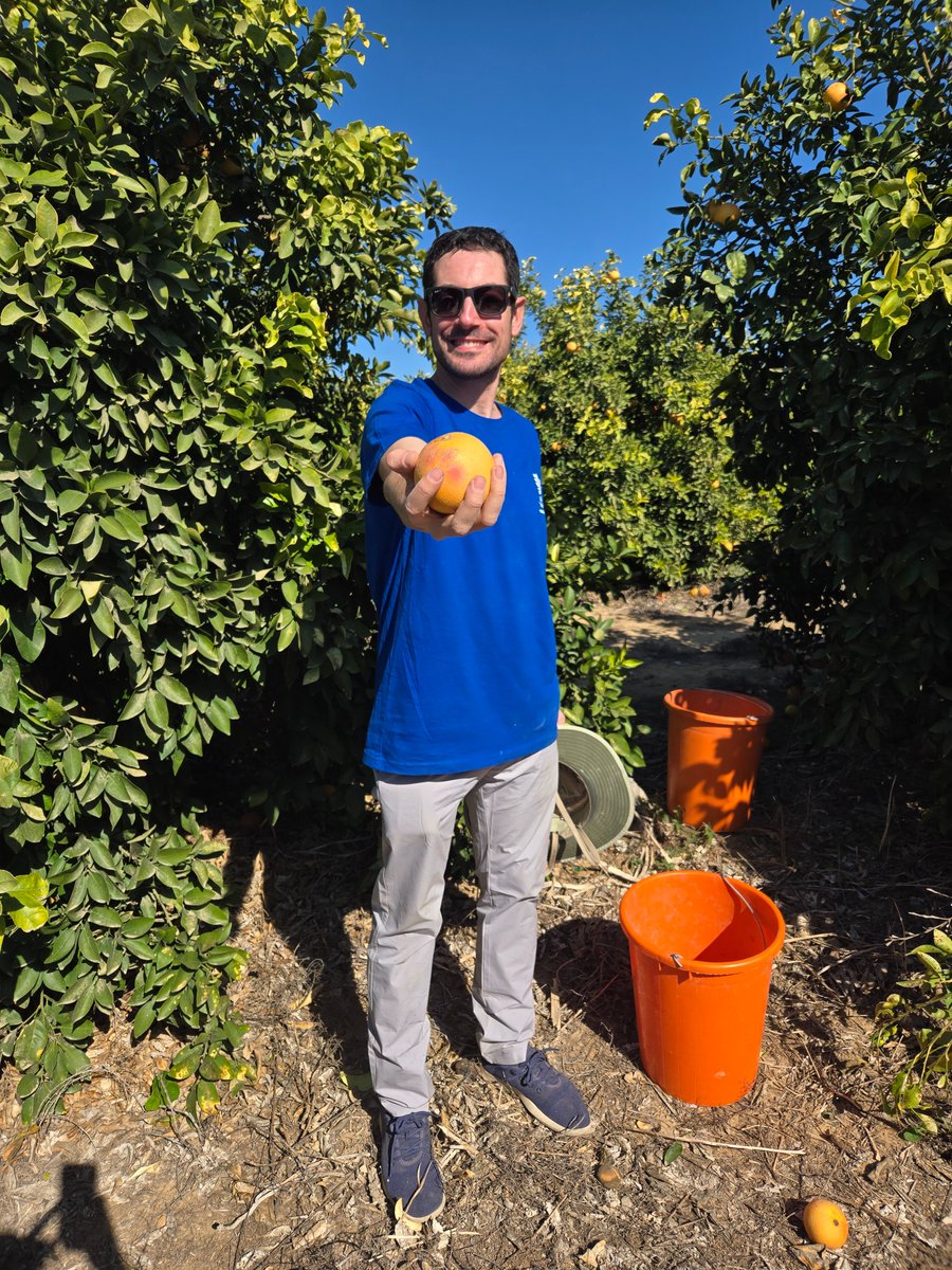 #Israel is 30,000 agricultural workers short,  🇹🇷 is boycotting selling food to 🇮🇱  &amp; 32,000 rockets have been fired from terrorists into Israel, destroying farmland. Thankfully <a href="/leketisrael/">Leket Israel</a> is sending busses full of volunteers every day to rebuild farms &amp; harvest produce