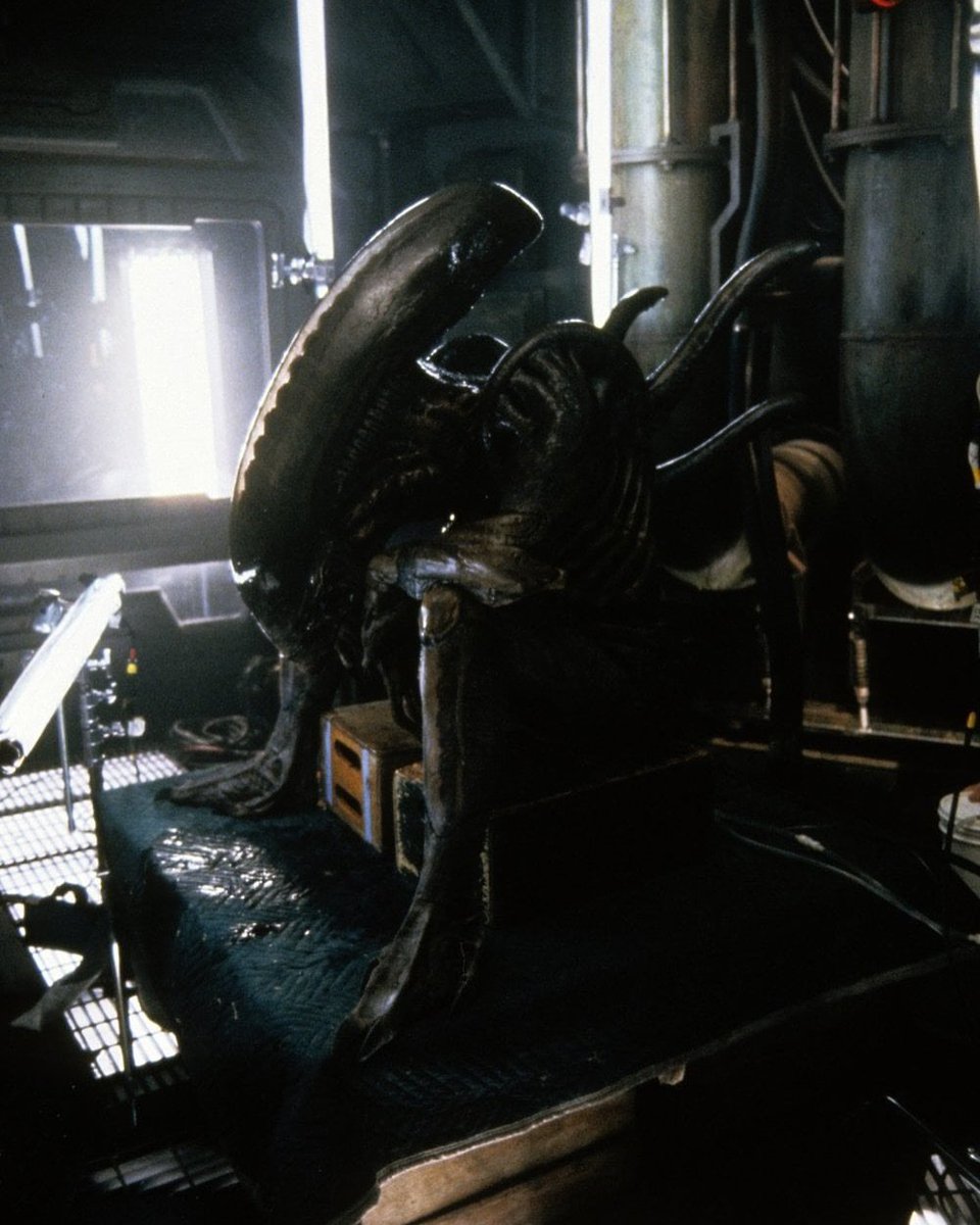 avpgalaxy's tweet photo. Man…
#Xenomorph creature performers resting on set in #AlienResurrection, #AlienRomulus, #Alien, #Alien3, and #AVPR https://t.co/4BXZJxFU0i