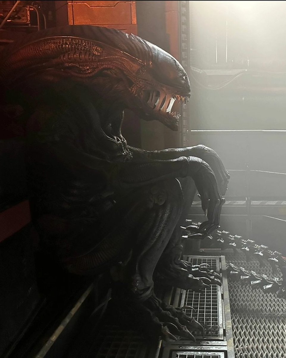 avpgalaxy's tweet photo. Man…
#Xenomorph creature performers resting on set in #AlienResurrection, #AlienRomulus, #Alien, #Alien3, and #AVPR https://t.co/4BXZJxFU0i