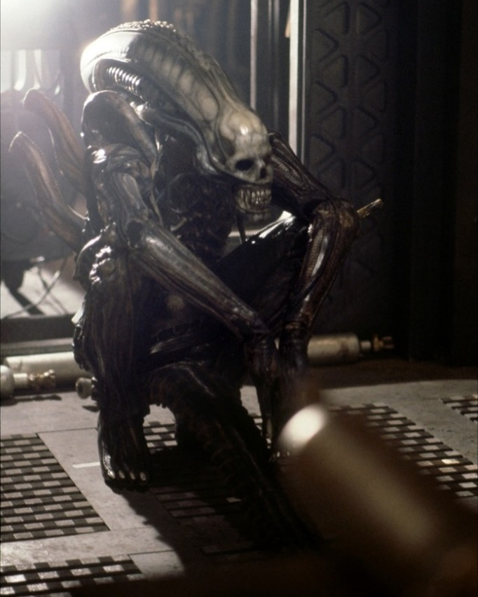 avpgalaxy's tweet photo. Man…
#Xenomorph creature performers resting on set in #AlienResurrection, #AlienRomulus, #Alien, #Alien3, and #AVPR https://t.co/4BXZJxFU0i