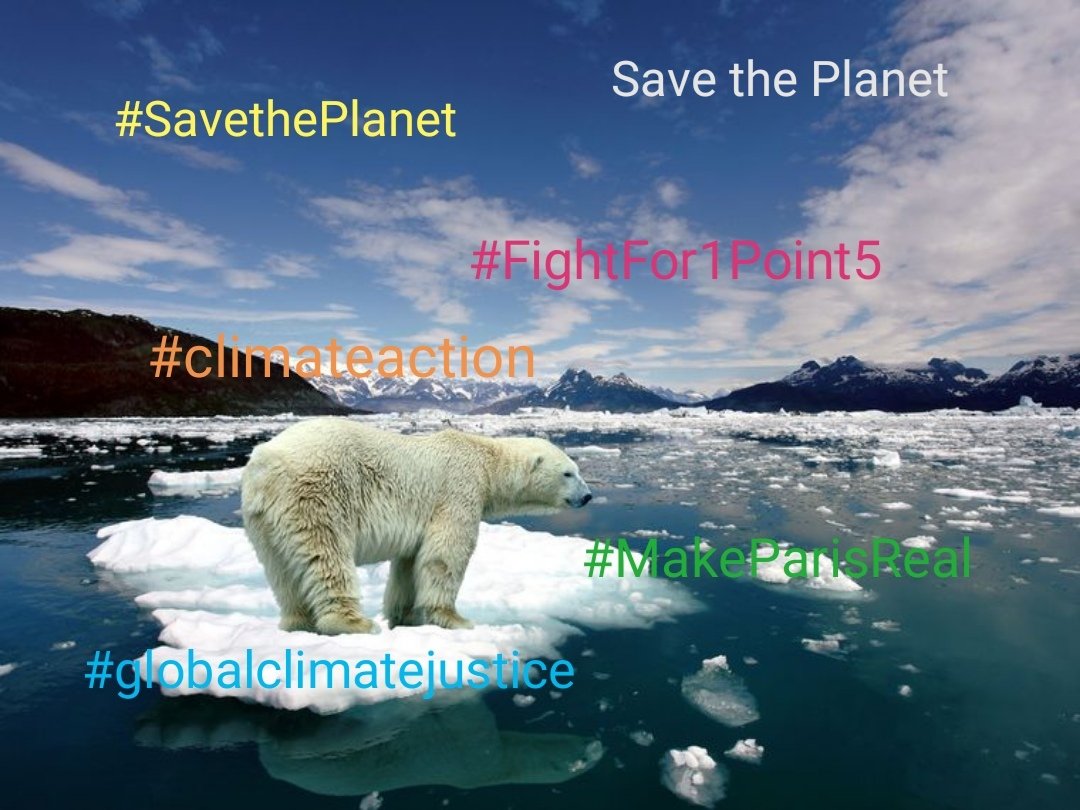 endelstamberg's tweet image. #ClimateStrike Week 278
#FightFor1Point5 Week 213

There will be a livable future only without fossil fuels! 
❤️ ☮️ 🌍 🌏 🌎 💧 🌳 🌱 🌿 🌺 🌼 🏵️ 🌻 🌞 🦋

#ClimateStrikeOnline #FreePalestine🇵🇸 #FreeCongo 🇨🇩 #FreeSudan 🇸🇩 #ClimateActionNow #EndClimateImperialism #twiff