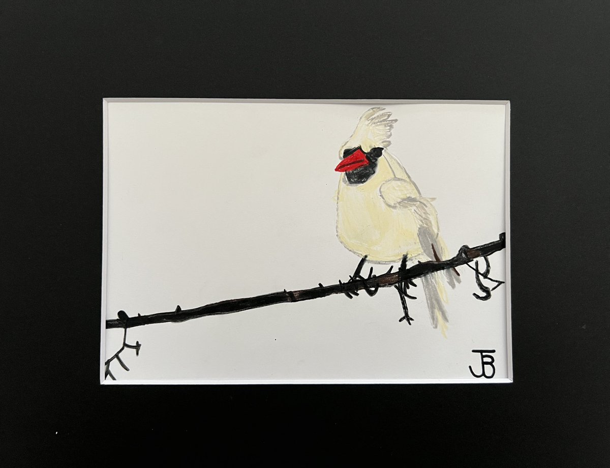 artfullyjoe's tweet photo. New Art 🖼️ Winter White Cardinal: mixed media matted to 8x10! Available: https://t.co/upPJkA5hLc #virginiasmallbusiness #virginiaartist #autisticartist #epilepsyawareness #winter #birdart #winterdecor #giftideas https://t.co/hGwQ6DlAsV