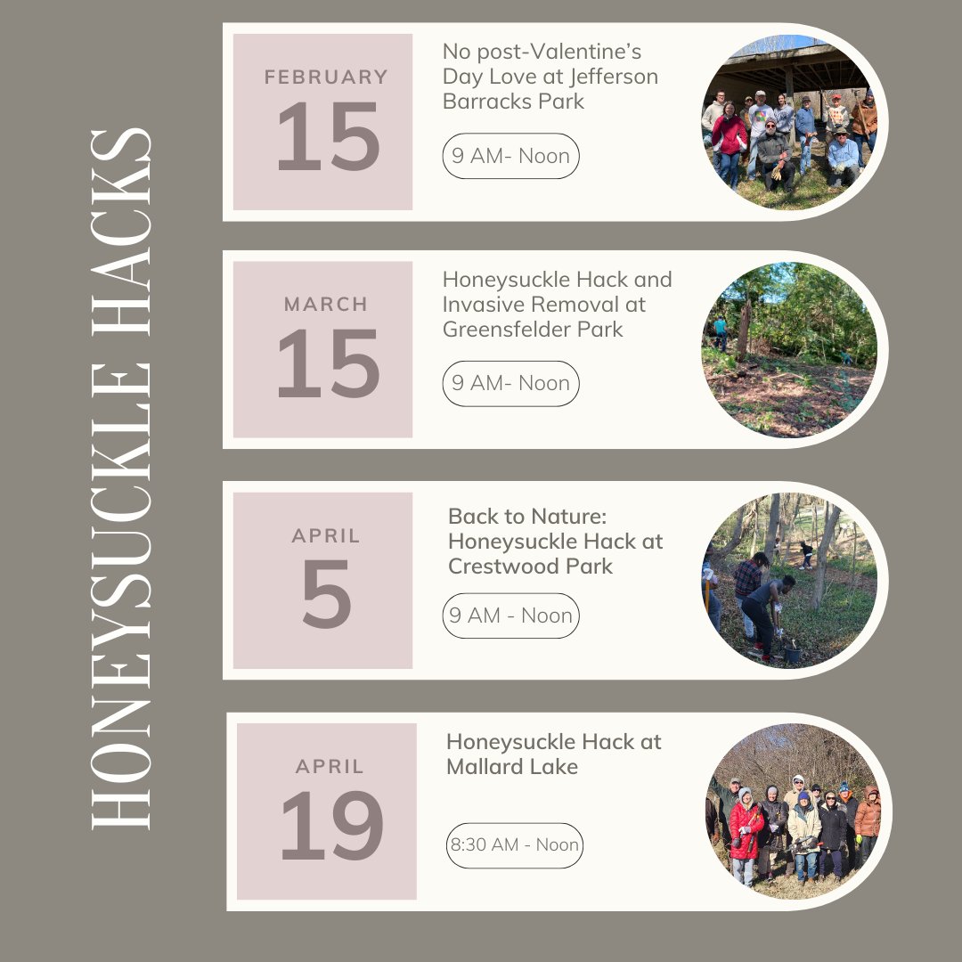Our event calendar is filling up

Plenty of days coming up to take a swing at some #honeysuckle

2025 is our 60th anniversary and we have launched the 60 for 60 campaign. Volunteer 60 hours this year by registering for our events at:

volunteer.openspacestl.org

#openspaces