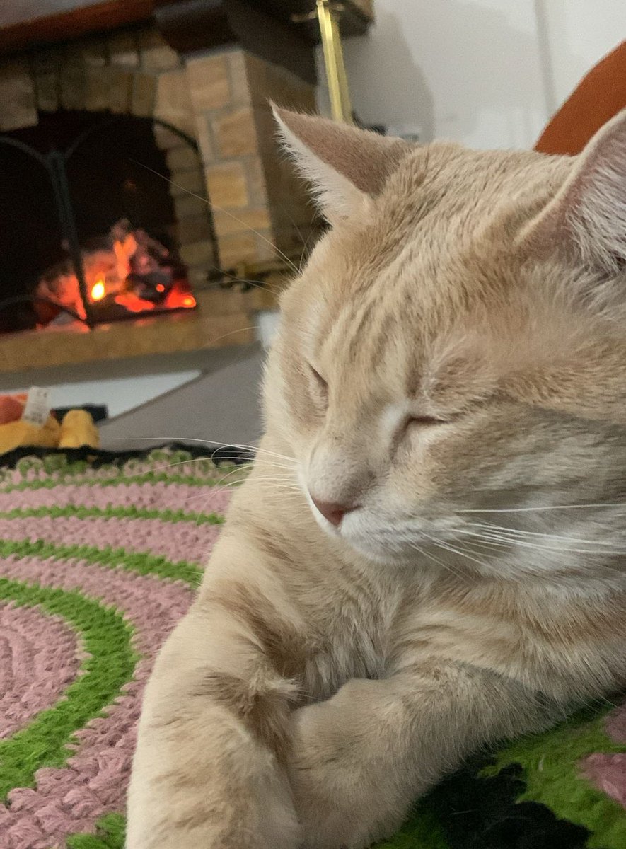 he doesn’t even know what distributed systems are