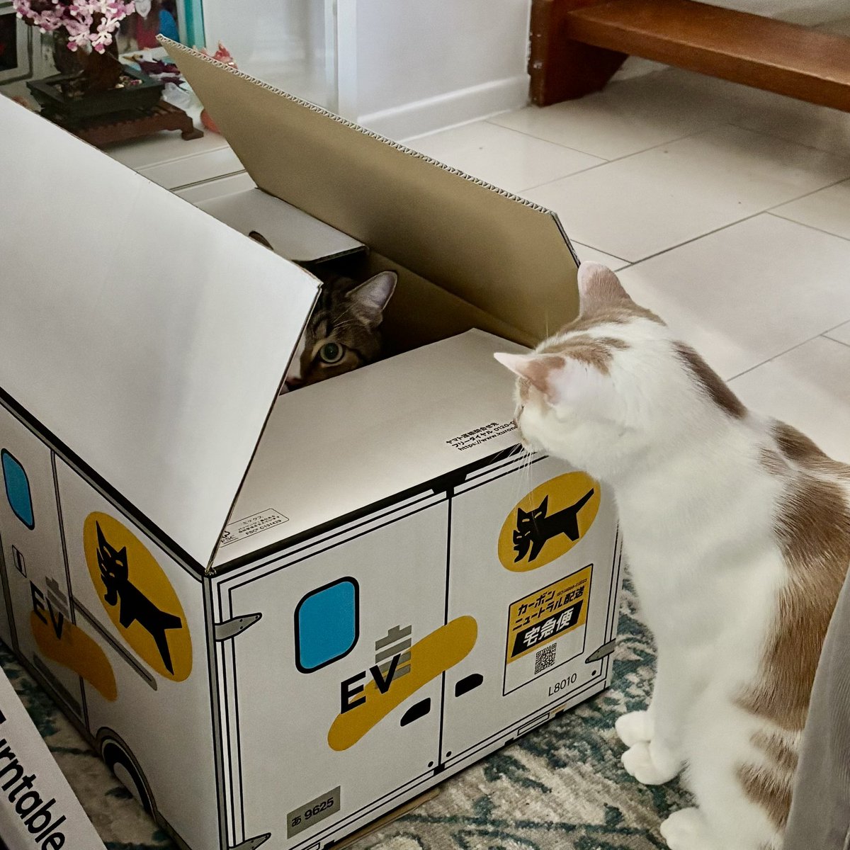 there is no Billy inside this box…