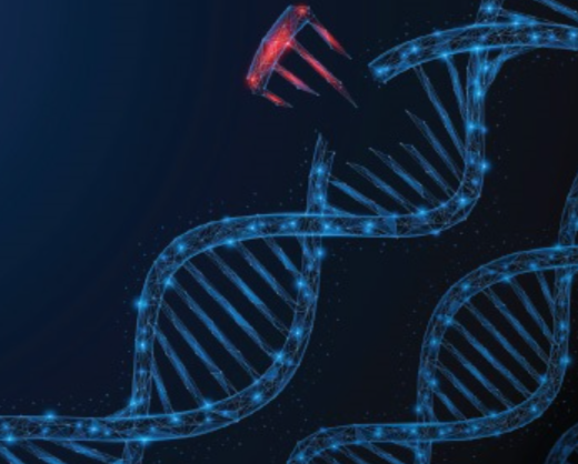 HearingJournal's tweet photo. Hearing devices and surgery may be more well-known tools to aid #hearingloss, but gene therapy is another option that may be worth a try. Read about it here this #ThrowbackThursday:
https://t.co/WDbLeOIlRU
#audiology #AuDPeeps #hearingcare #careoptions https://t.co/jVbanls3gR