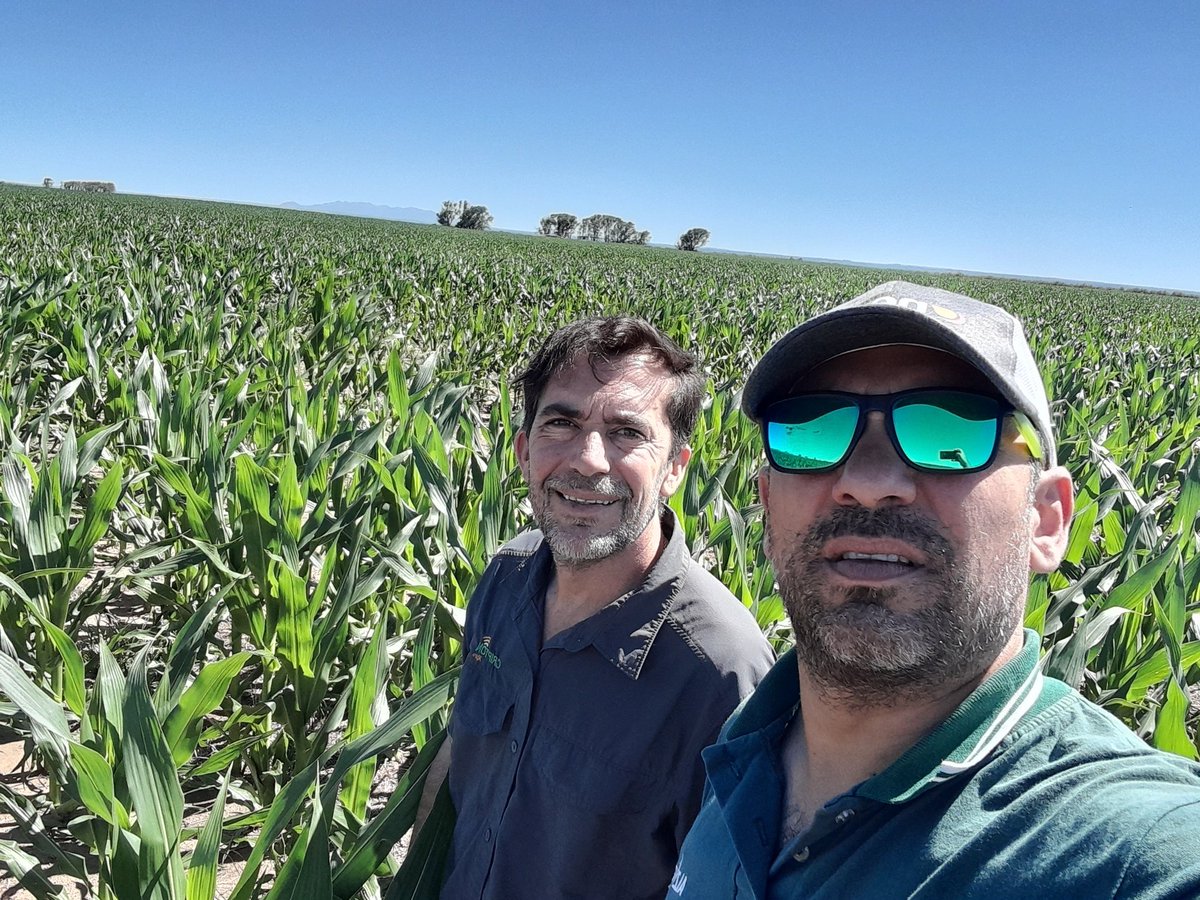 Mariano Martinez tweet media