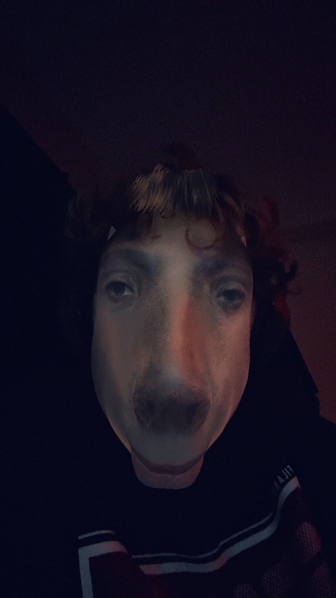 “Stop horsin about”
Me: