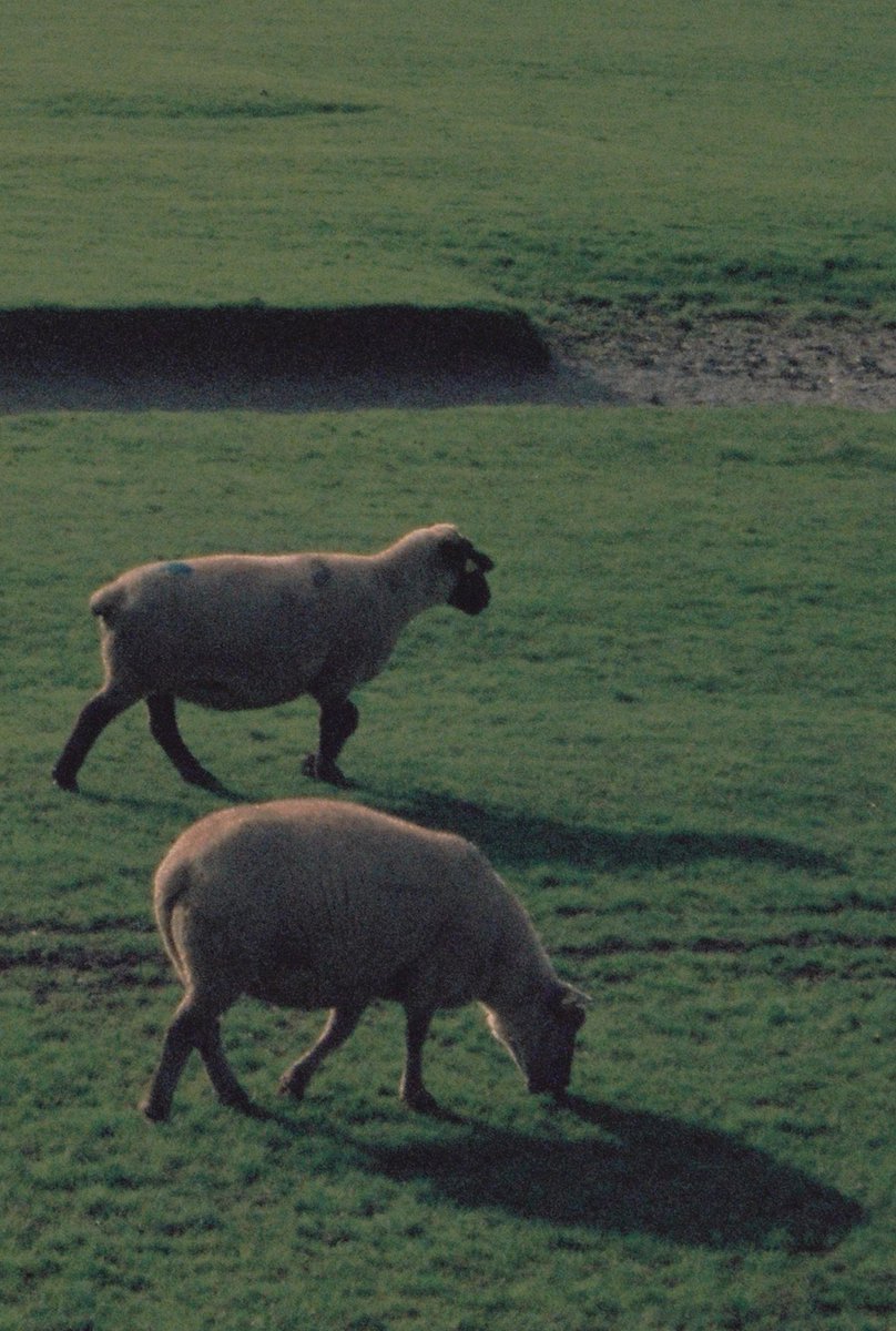 moins cools que mes v-princesses mais bon...