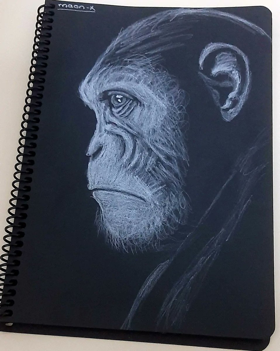 airdinarius's tweet photo. Drawing on Black Paper
#art #drawing #animaldrawings
#gorilla https://t.co/LdEBT5ofvp