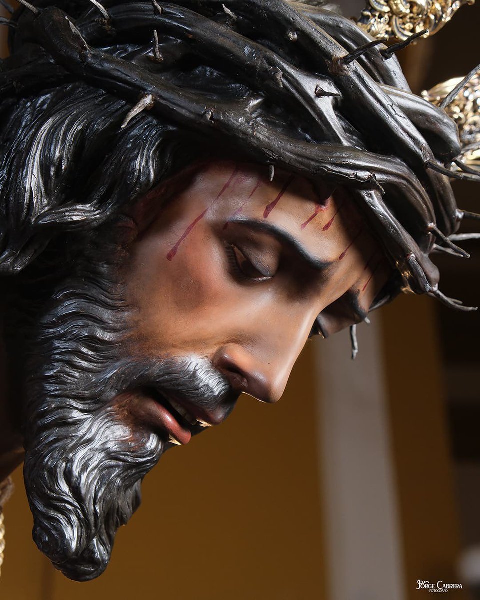 Angelitaa_🇪🇸 (@angelaa__01) on Twitter photo Eres la luz de nuestra fe, señor 💜 Eres la luz de nuestra fe, señor 💜