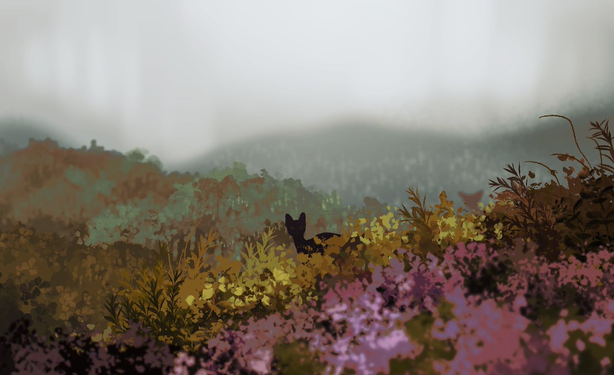 harriertail's tweet image. windclan, forest territory