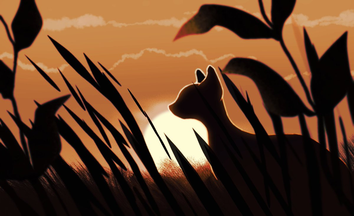 harriertail's tweet image. windclan, forest territory