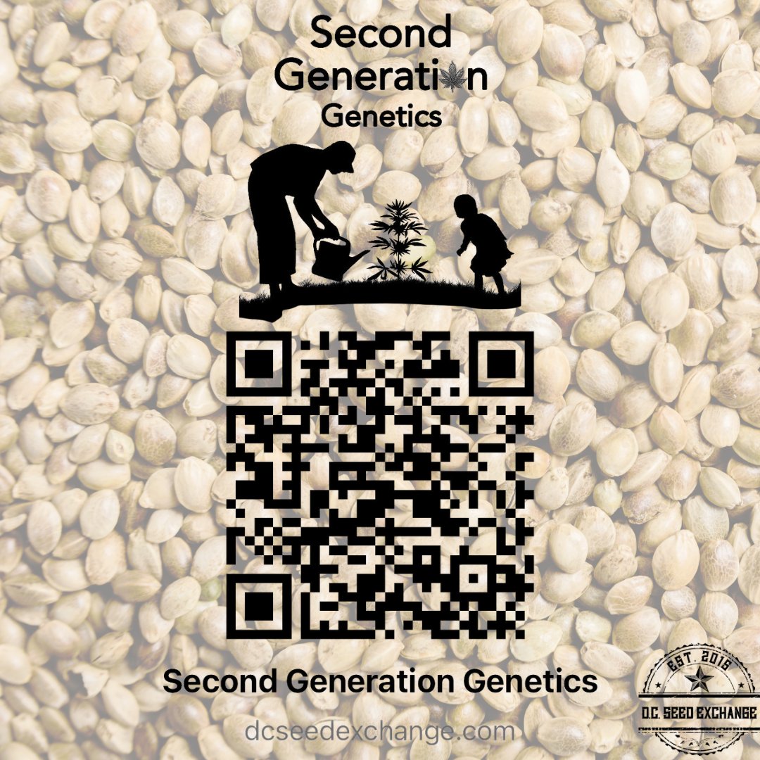 DCSeedExchange's tweet photo. 🚨 Second Generation Genetics RESTOCK ALERT! 🚨
We just scored a fresh drop of #secondgenerationgenetics, but they won’t last long! These highly sought-after genetics are in VERY limited supply.
To celebrate, we’re kicking things off with a DOUBLE DEAL:
💥 10% OFF all Second Generation Genetics packs! 💥
🎁 FREE half-pack of “BLT14” (BOOG x Indigo) with every Second Gen purchase! 🎁
Why Second Generation Genetics?
Premium Quality: Expect top-tier genetics and exceptional results.
Unique Strains: Discover rare and exciting varieties you won’t find anywhere else.
Collector’s Items: These packs are disappearing fast - grab them before they’re gone for good!
Don’t miss this chance to elevate your grow game with Second Generation Genetics!
Scan the QR code or hit the link in our bio to get started!