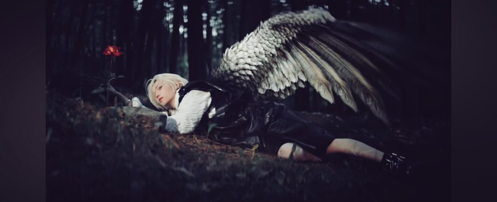 Felix(parody ) tweet media