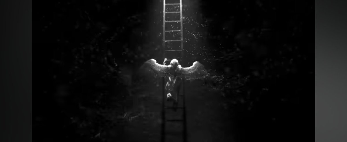 Felix(parody ) tweet media