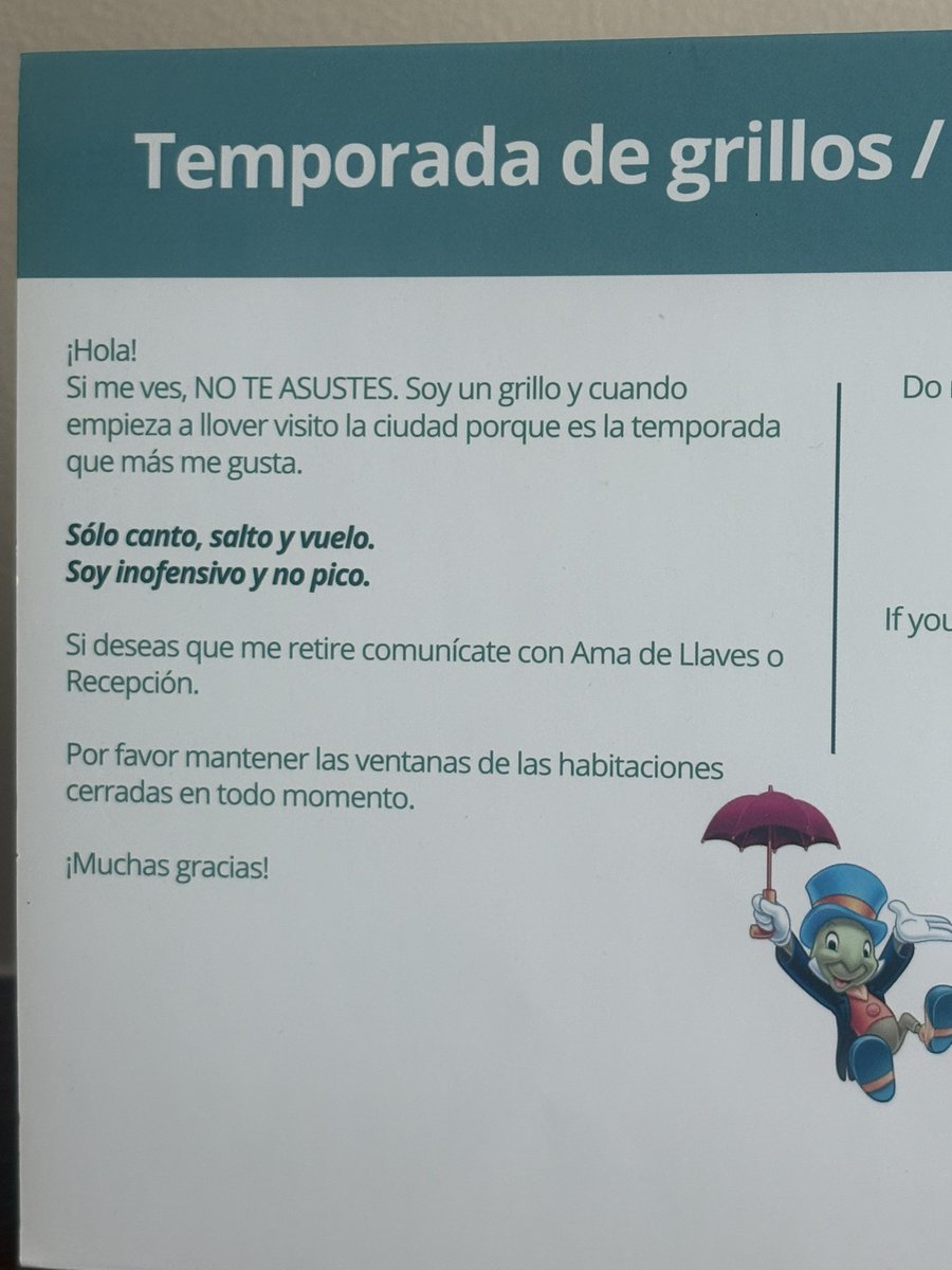 Me encuentro esto al llegar a la habitación.

Procedo inmediatamente a abrir todas las ventanas a ver si viene alguno 😍