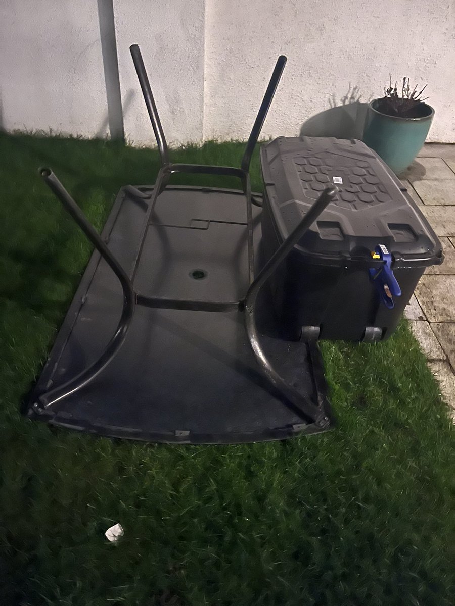 Orlaith Blaney tweet media