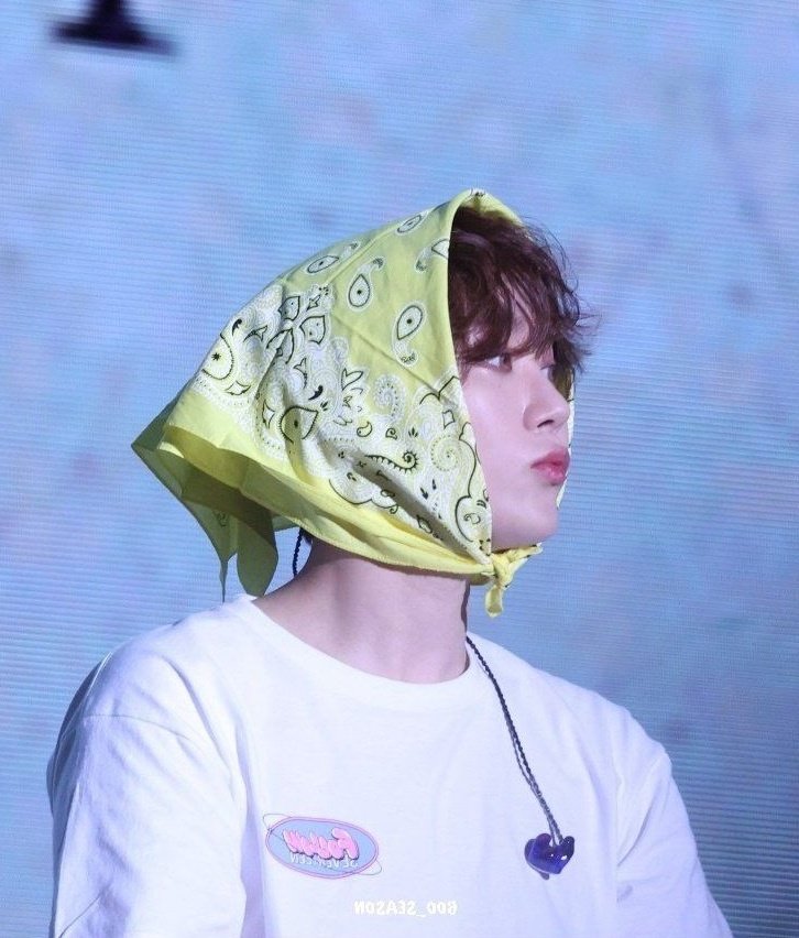 kwandelions's tweet image. 