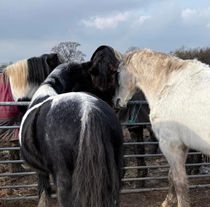 We get the feeling they are planning something on the quiet 🤫