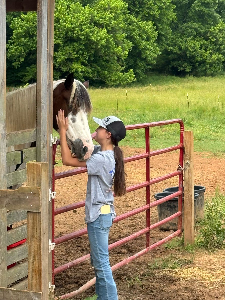 Parkwood Middle School (@parkwoodmsnc) on Twitter photo Meet Harley, your FFA Secretary!
Harley joined FFA because of her love of horses and the leadership opportunities it provides. She hopes to be an officer again in 8th grade and continue into HS! Thanks for your commitment and hard work! @aghoulihan @ucpsnc <a href="/jpdelucia/">John DeLucia</a> Meet Harley, your FFA Secretary!
Harley joined FFA because of her love of horses and the leadership opportunities it provides. She hopes to be an officer again in 8th grade and continue into HS! Thanks for your commitment and hard work! @aghoulihan @ucpsnc <a href="/jpdelucia/">John DeLucia</a>