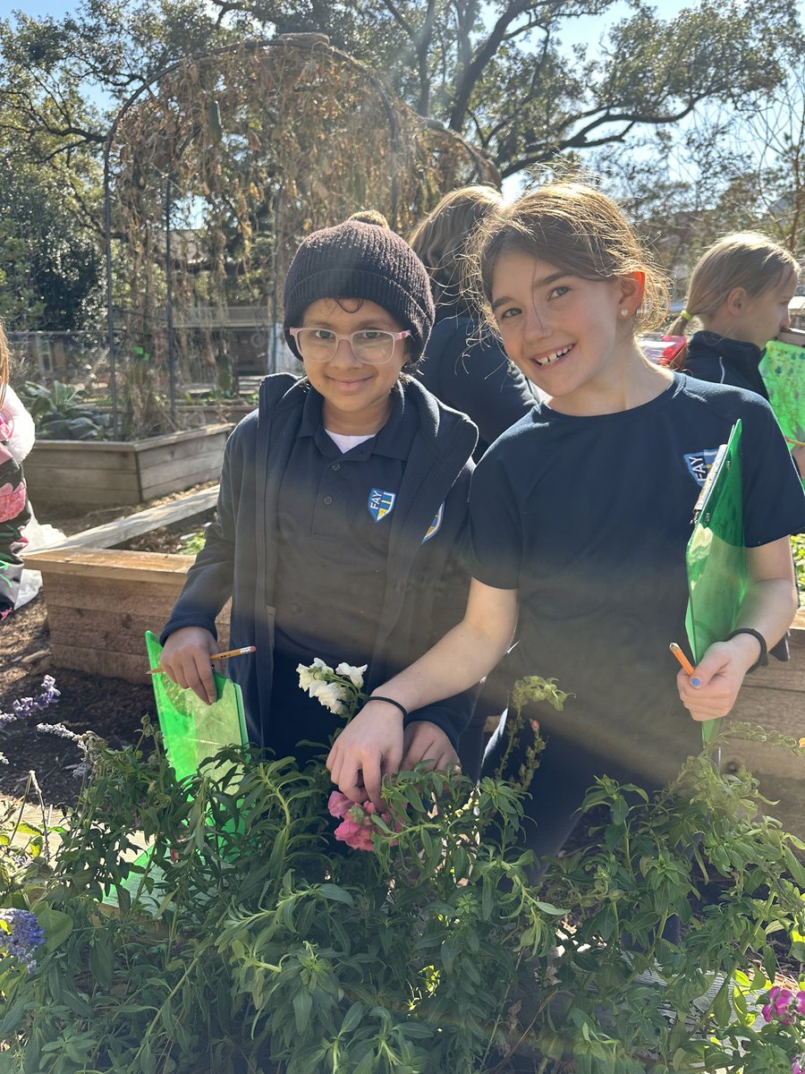 readygrowgarden's tweet photo. We love sunshine, gardening and science at school! 🌞🥕💚 @TheFaySchool #Houston #schoolgarden #gardenday #scienceoutside #healthykids https://t.co/JIM1gz4EPw
