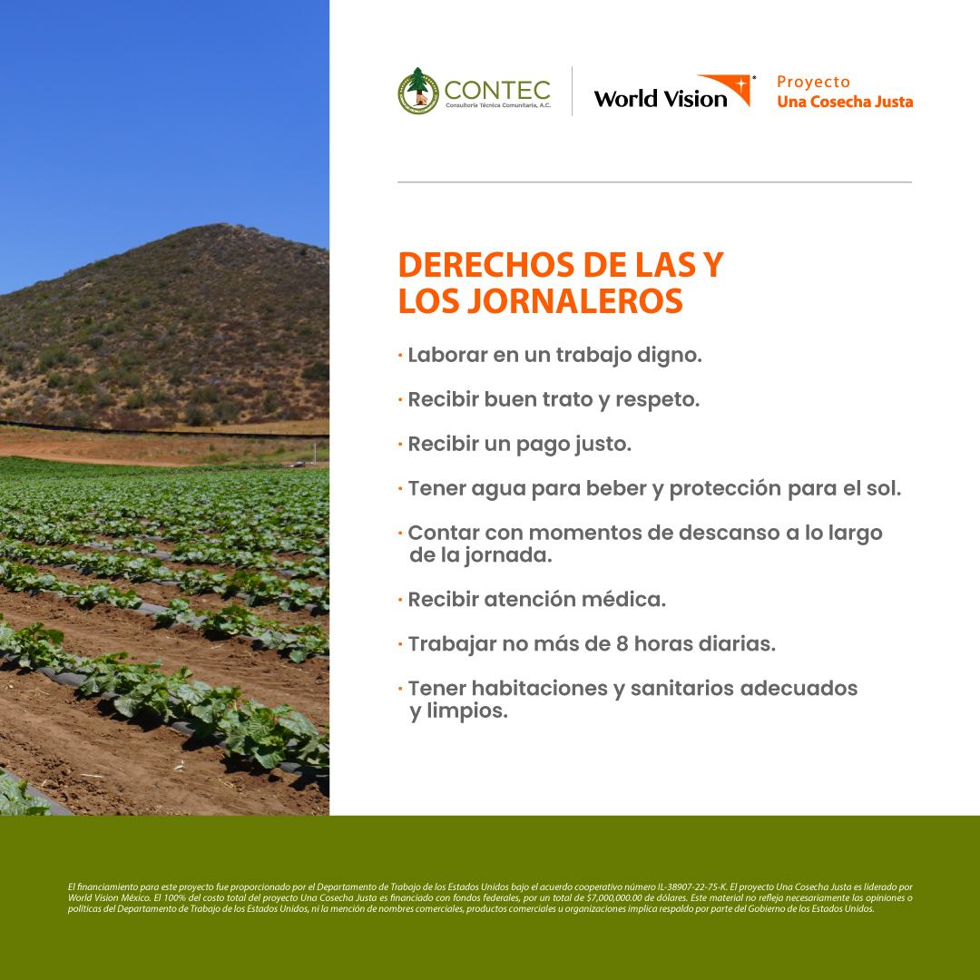 CONTEC A.C. tweet media