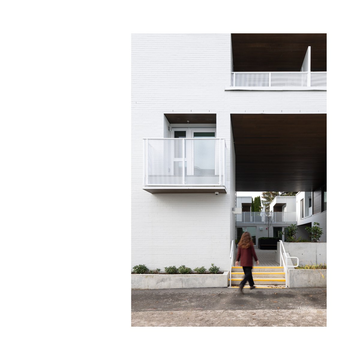SHAPE Architecture tweet media