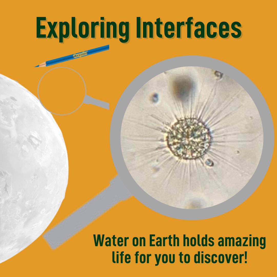 TeamFoldscope's tweet photo. Day 5 of #CrayolaCreativityWeek
Curious? Explore small, invisible worlds with a Foldscope!
#STEAM #ScienceIsBeautiful #ArtsIntegration
@NASA @EuropaClipper @CrayolaLearning @artsintedu https://t.co/5MXB1idGSI