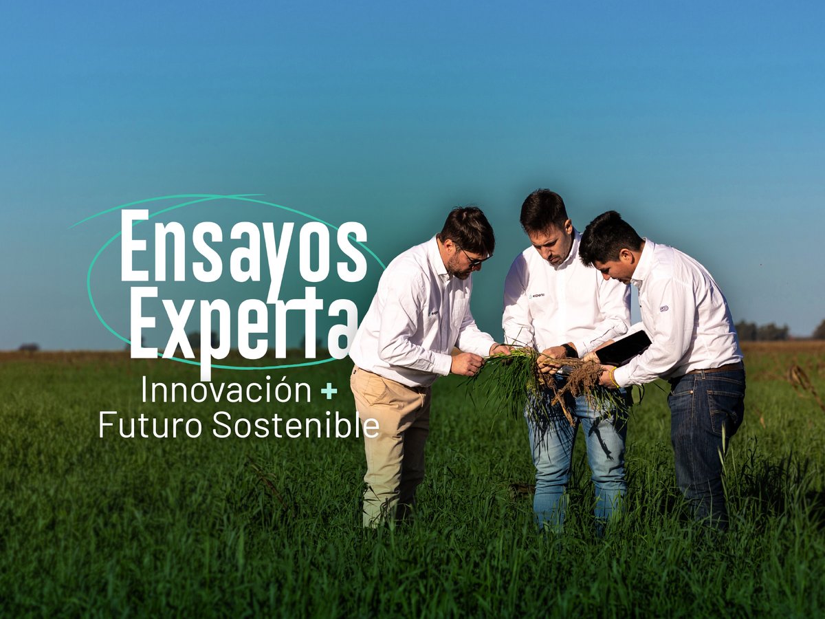 AGD Experta tweet media