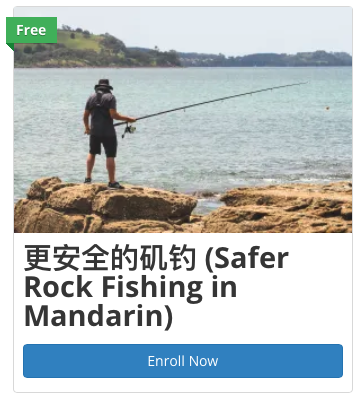 Drowning Prevention Auckland tweet media