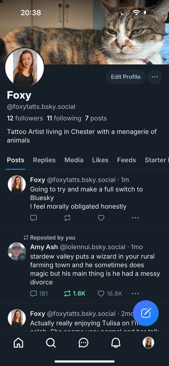 Fox 🦊 tweet media