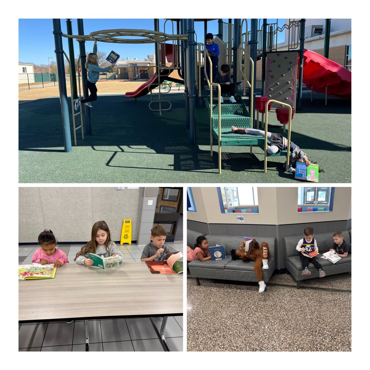 Kristen Sears tweet media