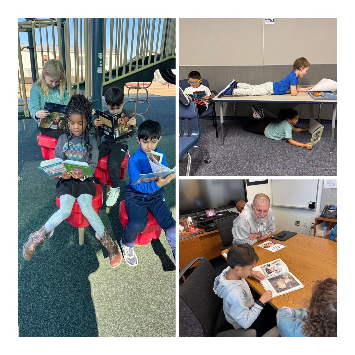 Kristen Sears tweet media