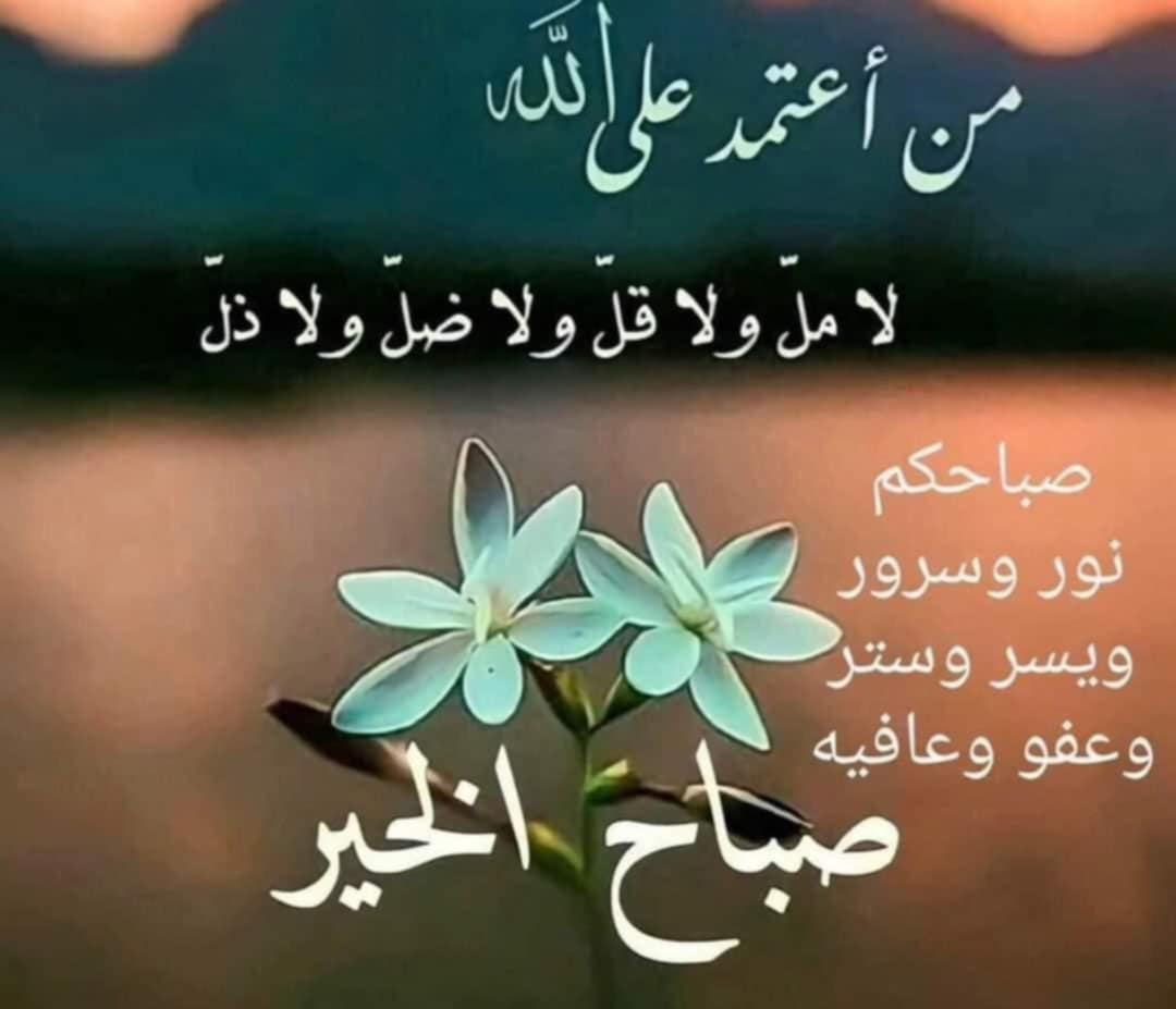 محمد مفسر احلام ومعالج (@wm95265mfsr) on Twitter photo 