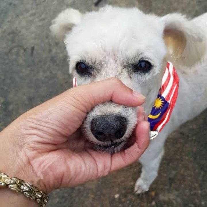 Jon38986801's tweet photo. @lam93366202 @theaseanball https://t.co/S7YX9FXnZf