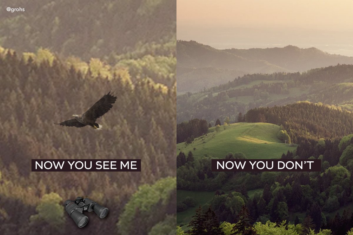 πΆπππππ (@grohs) on Twitter photo Quick one (cos of the extension) for todays <a href="/OneMinuteBriefs/">One Minute Briefs β±οΈ</a> of the day: Create posters to advertise #Binoculars Quick one (cos of the extension) for todays <a href="/OneMinuteBriefs/">One Minute Briefs β±οΈ</a> of the day: Create posters to advertise #Binoculars