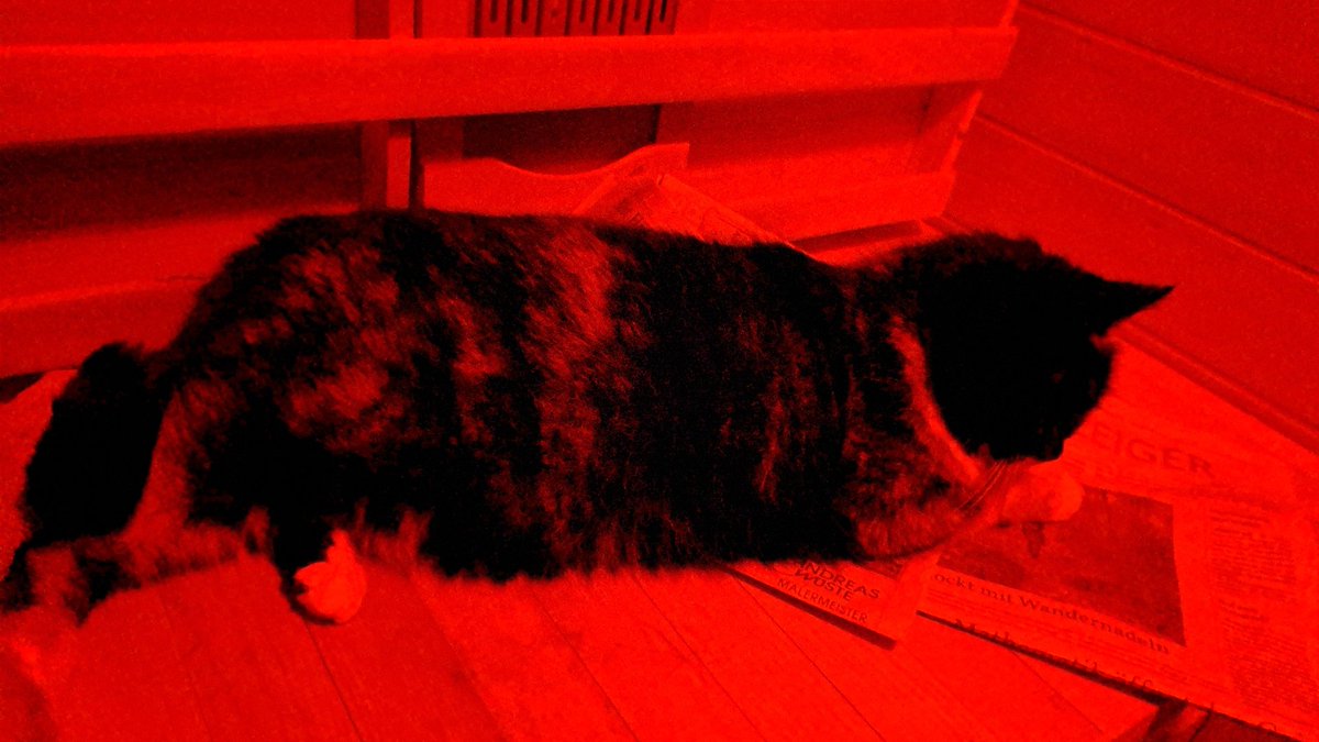 🤔irgendwie weiss ich jetzt auch nicht...die Katz liegt mit mir in der Wärmekabine und will partout nicht raus🤷‍♂️

Verstisse ich halt gegen den Tierschutz und schmeiss se jetzt vor die Türe🤷‍♂️